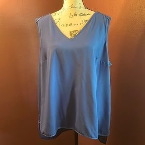 Beautiful royal blue shell